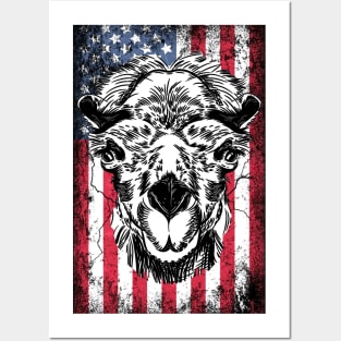 Patriotic Camel American Flag Posters and Art